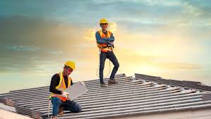 Best Roof Moss and Algae Removal  in Park City, IL